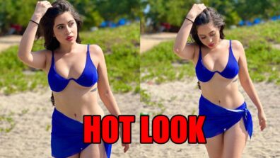 Too Hot To Handle: Urfi Javed sets the internet on fire with hot pictures in blue bikini, fans sweat