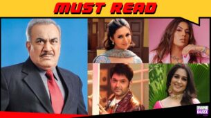 TV actors and their past professions