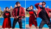 Viral Alert: Ashi Singh enjoys romantic honeymoon, grooves to ‘Kissi Disco Mein Jaye’ with her ‘love interest’
