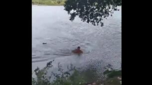 Watch: A Terrifying Video Has Emerged Showing A Man Being Chased And Attacked By An Alligator In A Lake In Brazil Has Left Netizens Horrified