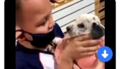 Watch: A Video Of A Little Boy Getting Emotional After Receiving A Puppy As A Gift Has Warmed The Hearts Of Thousands Of Netizens