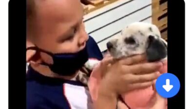 Watch: A Video Of A Little Boy Getting Emotional After Receiving A Puppy As A Gift Has Warmed The Hearts Of Thousands Of Netizens