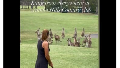 Watch: An Amateur Golfer Was Left Stunned After A Mob Of Kangaroos Charged Up The Fairway On A Golf Course In Australia