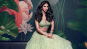 What!!! Vaani Kapoor Holds A Degree In Travel & Tourism: Read On