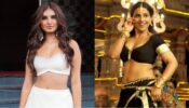 You Will Be Stunned To Know How Tara Sutaria Got Movie ‘Tadap’: Read On