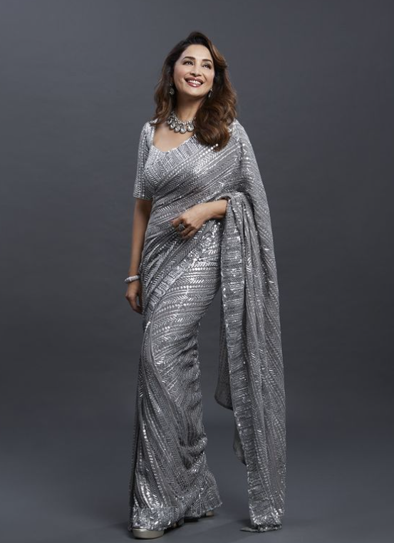 Madhuri Dixit Looks Like Royalty In A Grey Sequined Saree And Shoes; See Pictures - 1