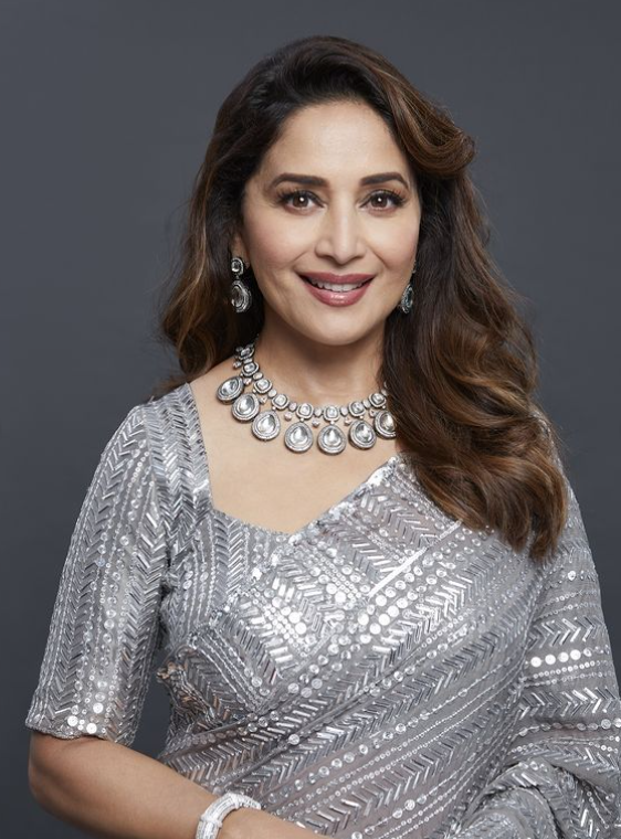 Madhuri Dixit Looks Like Royalty In A Grey Sequined Saree And Shoes; See Pictures - 0