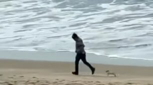 A Man Playing With Tiny Puppy On The Beach Will Make You Say Aww A Bit Too Many Times, Watch The Cute Video