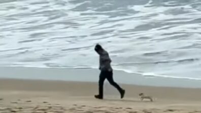 A Man Playing With Tiny Puppy On The Beach Will Make You Say Aww A Bit Too Many Times, Watch The Cute Video