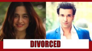 Aamir Ali and Sanjeeda Shaikh officially divorced after nine years of marriage