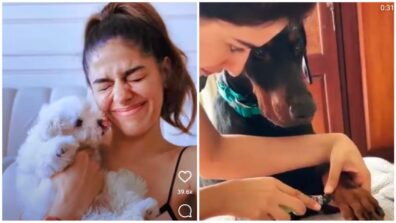 Alaya F and Disha Patani are ‘paw buddies’, see cutest moments