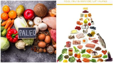 The Paleo Diet: A Beginner’s Guide, Weren’t You Just Looking For It?