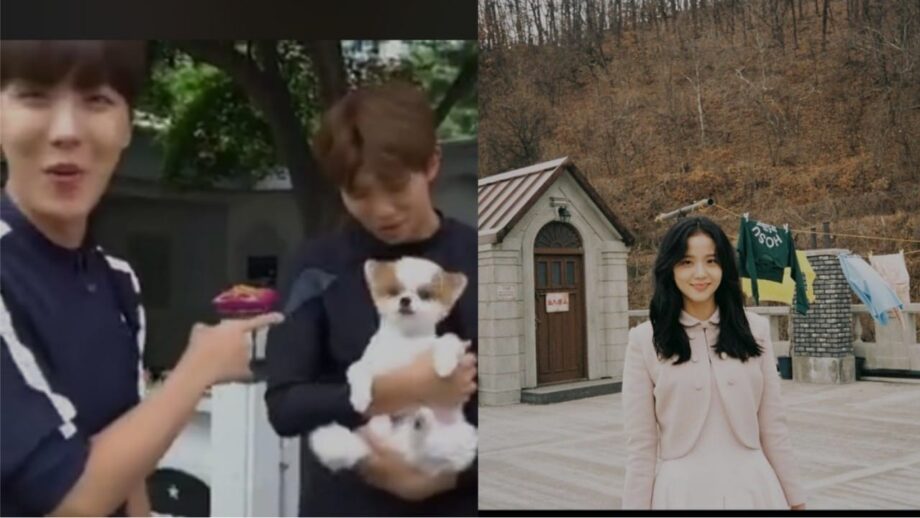 ARMY BLINKS Hot Update: BTS J-Hope and RM's cute friendship moment with pet dog, Blackpink Jisoo says, 'today is the day' 539705