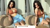 Avneet Kaur sends shockwaves all over internet in brown bralette top and blue skirt, rumoured BF Raghav Sharma is sweating