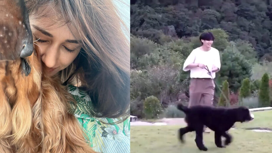 Awesome Pawsome: BTS V gets playful with pet dog, Disha Patani's cute post featuring her 'Bella' goes viral 536763