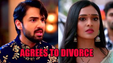 Bhagya Lakshmi spoiler alert: Rishi agrees to divorce Lakshmi