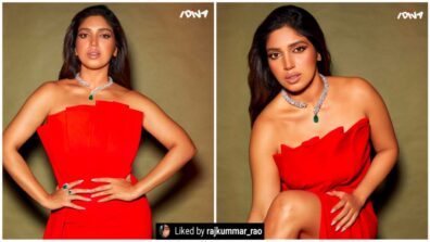 Bhumi Pednekar shines bright like diamond in red velvet strapless outfit, Rajkummar Rao is impressed