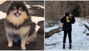 Blinks And ARMY Special: BTS V and Blackpink Jennie have an ‘awesome pawsome’ moment, fans in love