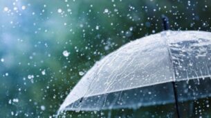 Build Strong Gut Health To Reap Benefits This Monsoon, Check Out