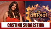 Ekta Kapoor asks for suggestions in casting the lead actress for NAAGIN 6, Fans want Rubina Dilaik
