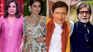 Farah Khan Reveals Why Raveena Tandon, Dev Anand And Amitabh Bachchan Rejected Being In Deewangi Deewangi Song