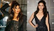 From Priyanka Chopra To Alia Bhatt: Bollywood Actresses Who Left Us Stunned In Lacy Outfits