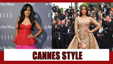 From Sonam Kapoor to Richa Chaddha: Bollywood actresses who graced the Cannes Red Carpet and made headlines