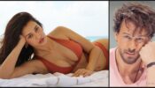 Garmi On Beach Baby: Disha Patani sets temperature soaring in ‘dust orange’ bikini, rumoured BF Tiger Shroff sweats