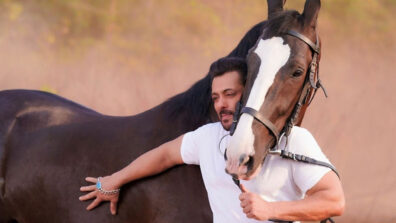 How Cute: Salman Khan posts adorable snap with his farm house horse, netizens melt