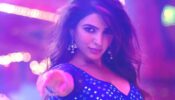 How Much Did Samantha Really Charge For Her Item Song Pushpa The  Rise?