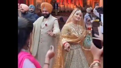 How Punjabi Couple Dance Hits The Dance Floor Played By DJ, See Viral Video