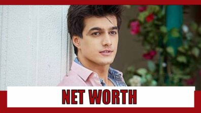 How rich is Mohsin Khan? Get shocked