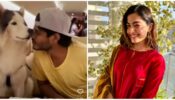 Inside Flight Fun: Vijay Deverakonda gets goofy with his dog, Rashmika Mandanna winks and says, “Happy…”