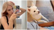 K-pop Special Update: Blackpink’s Rose slays in her ‘mirror selfie’ game, BTS RM wants to play with pet dog