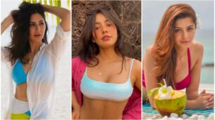 Katrina Kaif, Neha Sharma and South actress Vedhika share sensuous pics with irresistible oomph, check ASAP