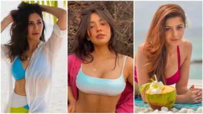 Katrina Kaif, Neha Sharma and South actress Vedhika share sensuous pics with irresistible oomph, check ASAP