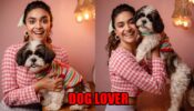 Keerthy Suresh is a total dog lover and these pictures are proof