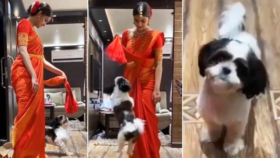 Keerthy Suresh is a total dog lover and these pictures are proof - 5