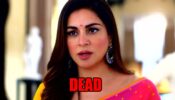 Kundali Bhagya spoiler alert: Is Preeta DEAD?