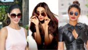 Let Athiya Shetty, Nargis Fakhri & Priyanka Chopra show you the key sunglass staples for your shelf