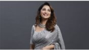 Madhuri Dixit Looks Like Royalty In A Grey Sequined Saree And Shoes; See Pictures