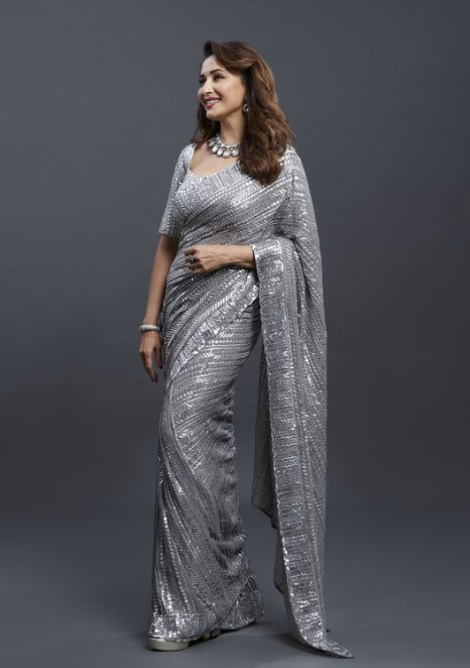 Madhuri Dixit Looks Like Royalty In A Grey Sequined Saree And Shoes; See Pictures - 2