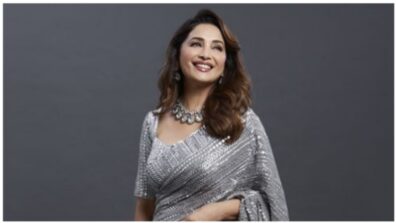 Madhuri Dixit Looks Like Royalty In A Grey Sequined Saree And Shoes; See Pictures