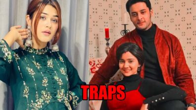 Meet spoiler alert: Manushi traps Meet Hooda and Meet Ahlawat in her plan