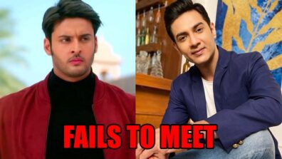 Meet spoiler alert: Meet Ahlawat and Tej fail to meet each other