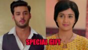 Meet spoiler alert: Meet Ahlawat plans a special gift for Meet Hooda