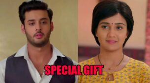 Meet spoiler alert: Meet Ahlawat plans a special gift for Meet Hooda