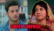 Meet spoiler alert: Meet Ahlawat’s ‘sweet’ surprise for Meet Hooda