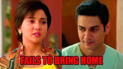 Meet spoiler alert: OMG! Meet Hooda fails to bring Tej home