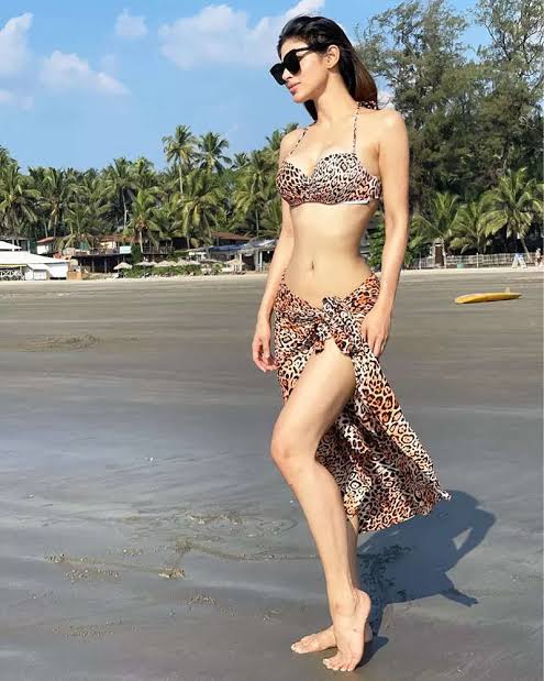 Mouni Roy Vs Disha Patani: Which Diva’s Leopard Print Bikini Is Raising Temperatures? - 3